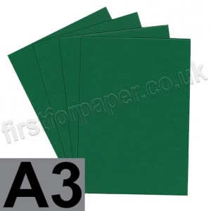 Colorplan, 540gsm,  A3, Lockwood Green - 50 sheets