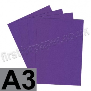 Colorplan, 700gsm,  A3, Purple - 50 sheets