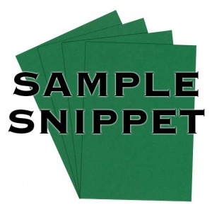Sample Snippet, Rapid Colour, 240gsm, Fir Green