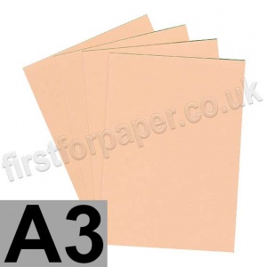 Rapid Colour Paper, 120gsm, A3, Salmon