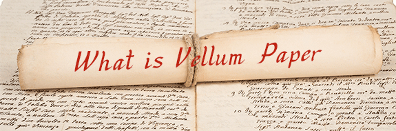What is Vellum Paper?