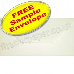 •Sample Anvil Hammer Textured Envelope, DL, Ivory