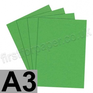 Extract Recycled, 130gsm, A3, Cactus - 100 sheets