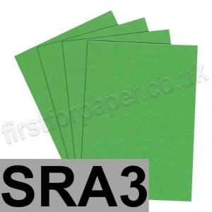 Extract Recycled, 380gsm, SRA3, Cactus - 100 sheets