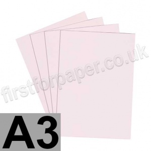 Rapid Colour Card, 240gsm, A3, Blush Pink