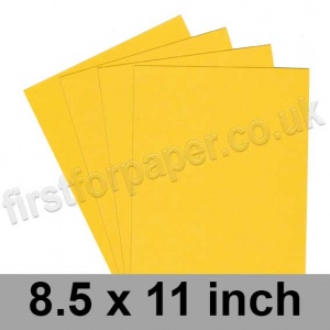 Rapid Colour, 120gsm, 216 x 279mm (8.5 x 11 inch), Bumblebee Yellow
