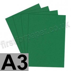 Rapid Colour Card, 240gsm, A3, Fir Green