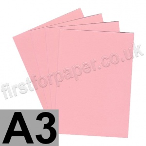 Rapid Colour Card, 160gsm,  A3, Flamingo Pink