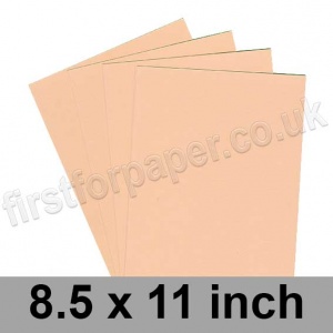 Rapid Colour Paper, 120gsm, 216 x 279mm (8.5 x 11''), Salmon