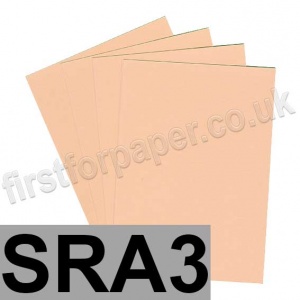 Rapid Colour Card, 160gsm, SRA3, Salmon