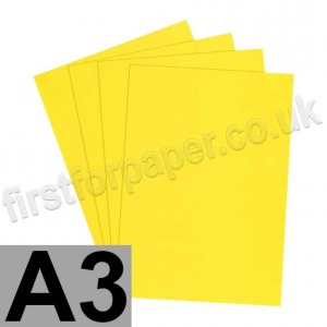 U-Stick, Daffodil, Self Adhesive Paper, A3