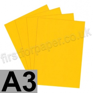 U-Stick, Fluorescent Orange, Self Adhesive Paper, A3