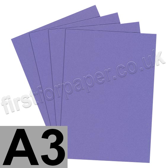 Rapid Colour Card, 160gsm, A3, Violet
